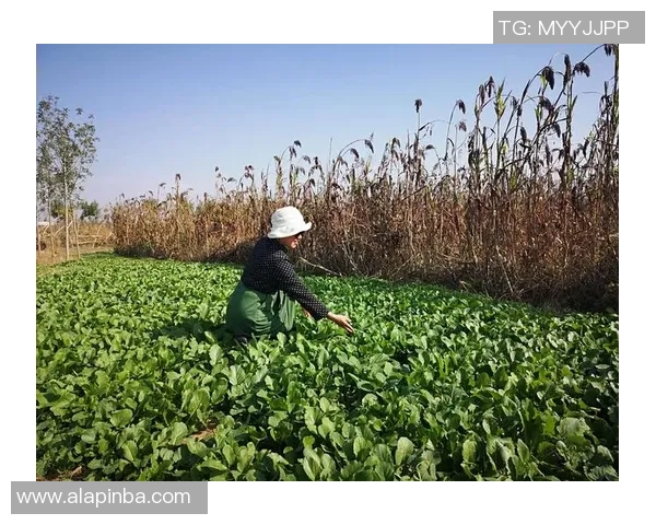 足球球星萝卜背后的故事 从昵称到传奇 一探究竟